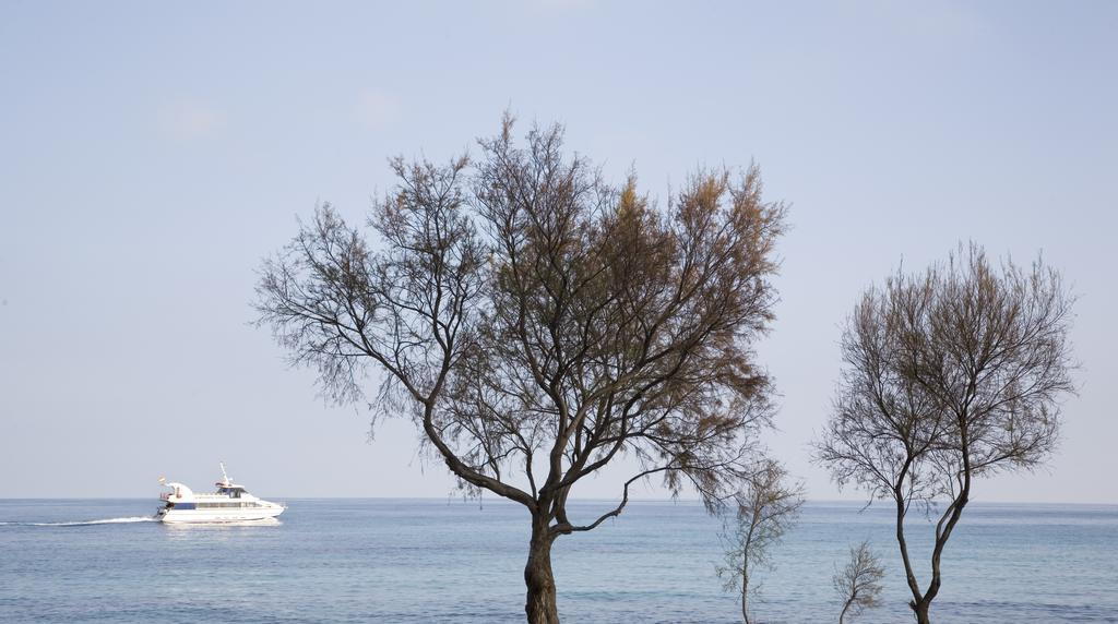 Hotel Mariant S'Illot  Εξωτερικό φωτογραφία