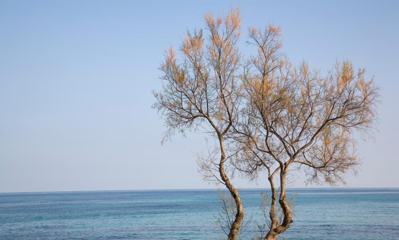 Hotel Mariant S'Illot  Εξωτερικό φωτογραφία
